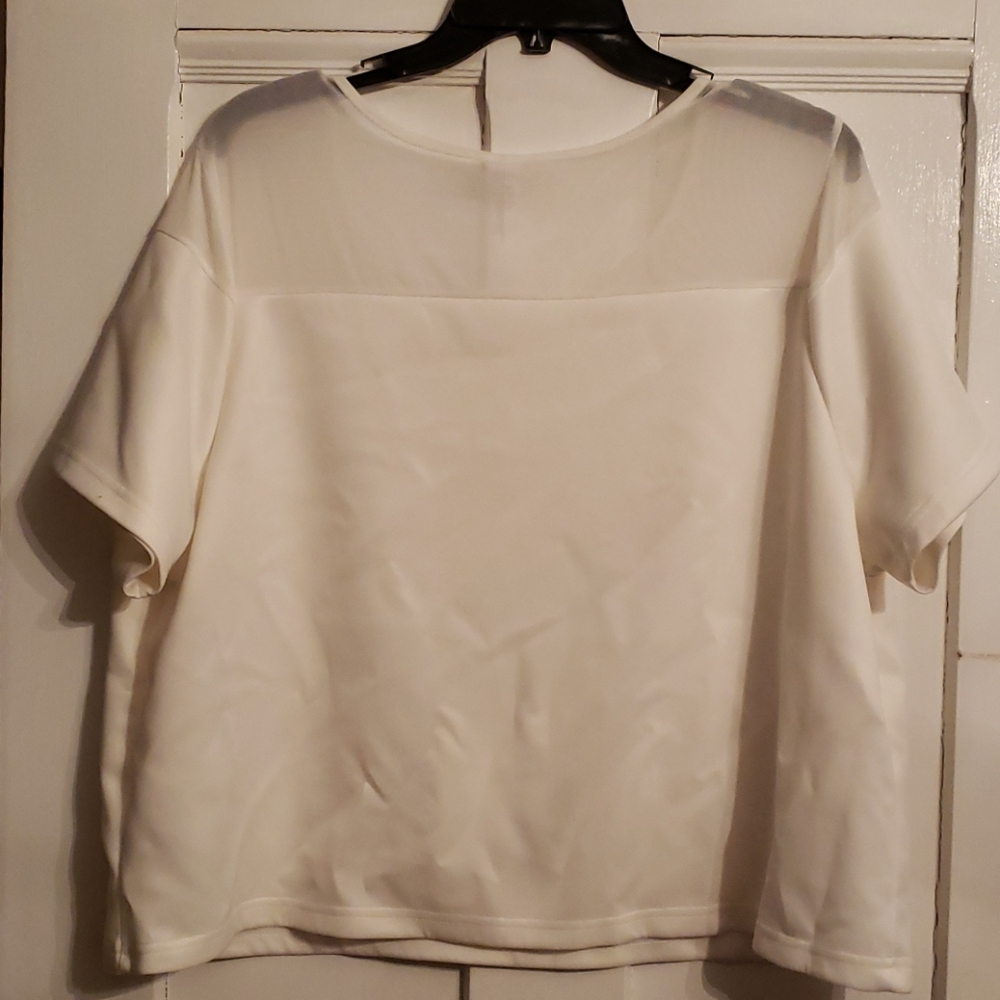 White Crop Top - Picture 3 of 3